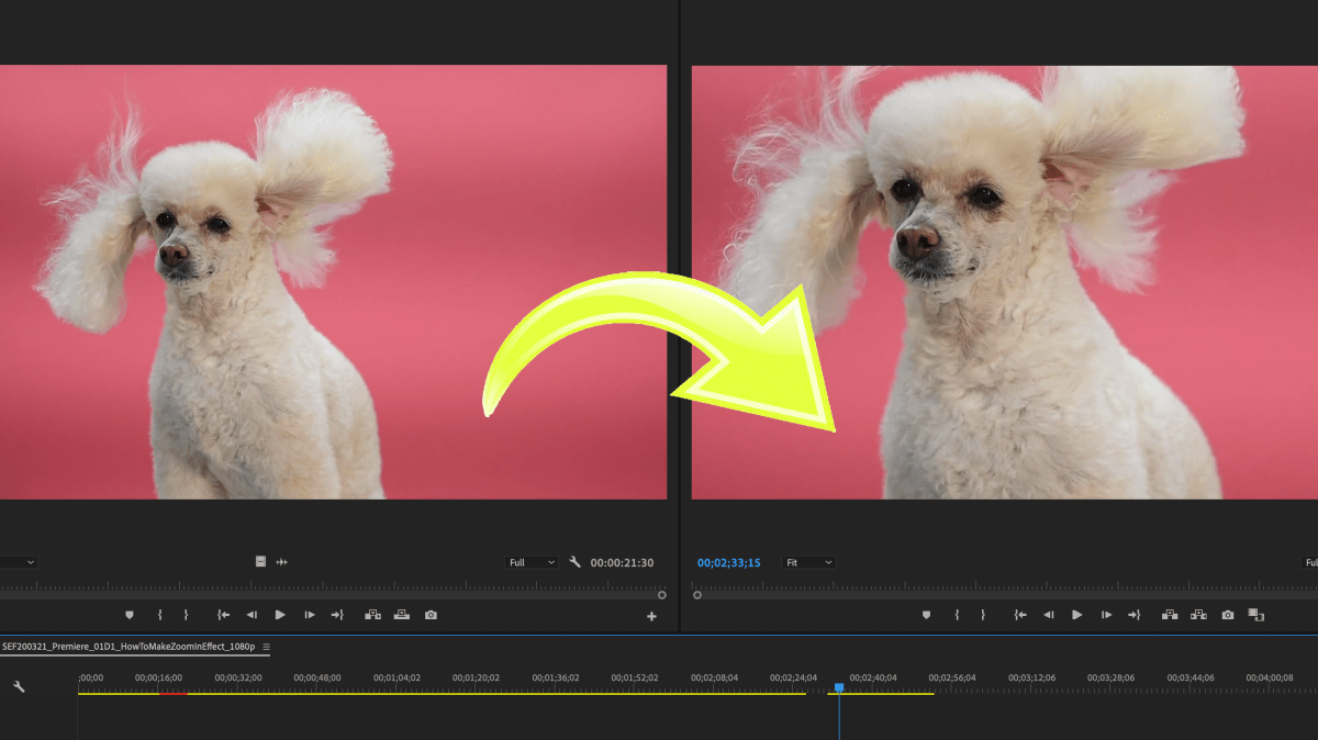 Mini Tutorials – April 2020 [Premiere&nbsp;Pro]
